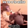 🐒 Pra mandar no trabalho 14