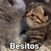 Besitos ve
