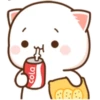 Mochi Peach cat 9 23