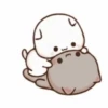 Kiss Cat 14