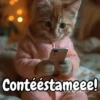 Animalitos Animados Random 🐇🐿 5