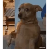 Todo tipo de reação 💥 11