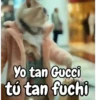 Funny random para contestar 😁💬 13