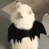 Perritos para el chat🐶 5