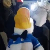 Pato Gifs 🦆 11