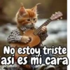 Funny random para contestar 😁💬 14