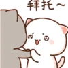 Mochi Peach cat 9 26