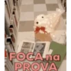 ENEM 13