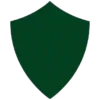 ⚽️ Palmeiras Verdão 6
