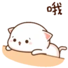Mochi Peach cat 9 16