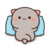 Kiss Cat 24