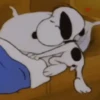 ⋆𐙚 🐾 Snoopy contesta ੯‧̀͡⬮ 7