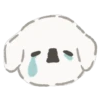 SAD TRISTE 13