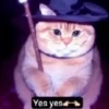 Yes yes