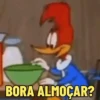 Pica pau 12