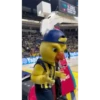 Fenerbahçe Yellow 5