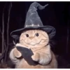 Wizard Cat 12