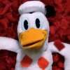 Pato Gifs 🦆 6