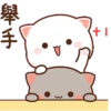Mochi Peach cat 9 27