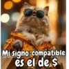 Funny random para contestar 😁💬 9