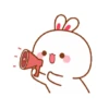 RABBITTTT  6