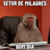 🐒 Pra mandar no trabalho 11