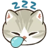 Kucing Gemoy #2 9
