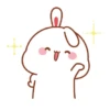 RABBITTTT  9