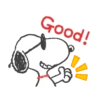 SNOOPY 22