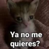 Ya no me quieres?
