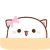 Mochi Peach cat 9 13