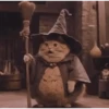 Wizard Cat 11