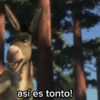 asíes tonto!
