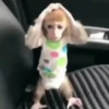 🎵 TIKTOKeando 29🎵 24