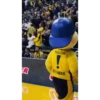 Fenerbahçe Yellow 17