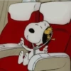 ⋆𐙚 🐾 Snoopy contesta ੯‧̀͡⬮ 15