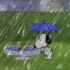 Snoopy 🏠🌈 (sticker.fan) 12