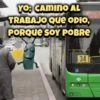 (⁠>⁠▂⁠<⁠)Plankton~TikTok🦠 12