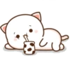 Mochi Peach cat 9 29