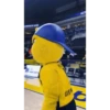 Fenerbahçe Yellow 23