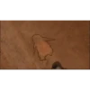 Los pinguinos de Madagascar 5