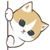 Kucing Gemoy #2 10