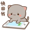 Mochi Peach cat 9 28