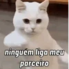 ninguém liga meu parceiro