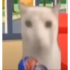 Más y más gatos 👌😿 6