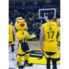 Fenerbahçe Yellow 25