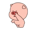 PIG BABYYYY CUTE 5
