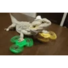 Lagarto 🦎 17