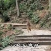 *c va en chinga*