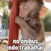 🐒 Pra mandar no trabalho 24
